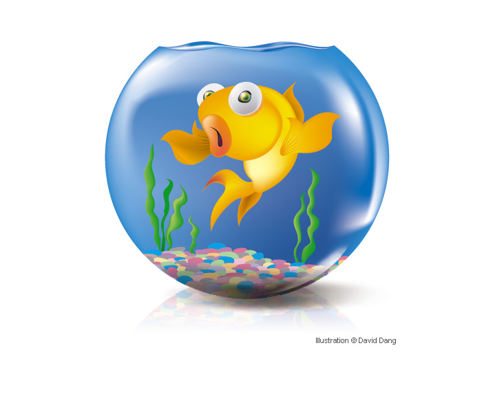 GOLDFISH